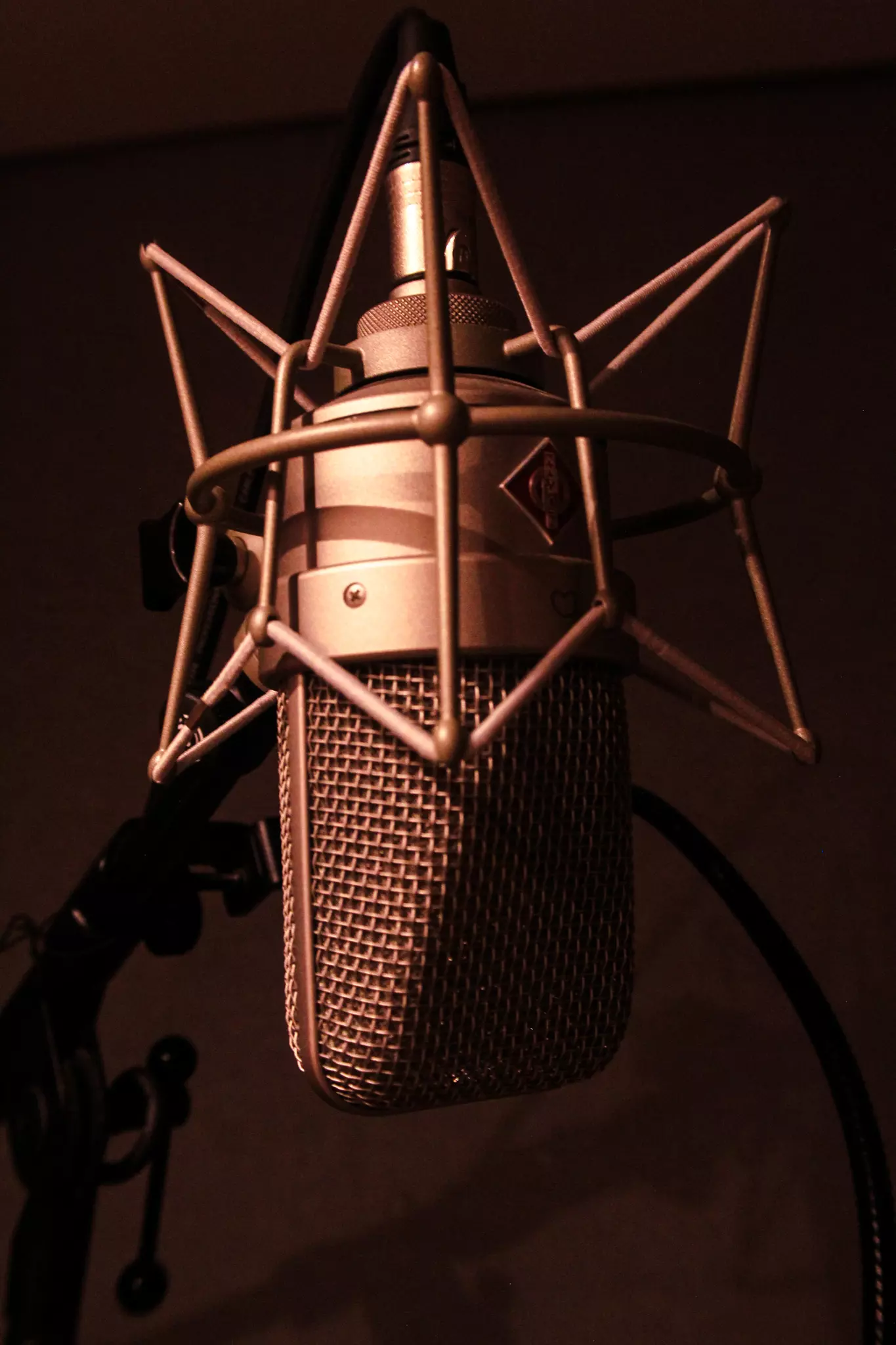 neumann tlm 49